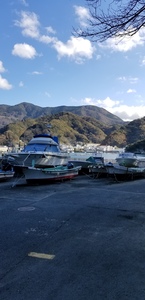 20181123_100347.jpg
