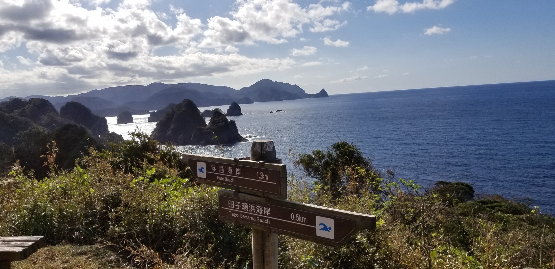 絶壁 奇岩の海岸を歩く 西伊豆歩道 燈明ｹ崎コース 伊豆からのレポート