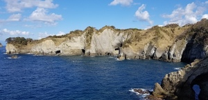 20181123_104901.jpg