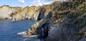 20181123_104907.jpg