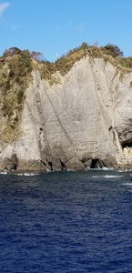 20181123_105358.jpg