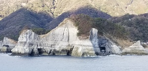 20181123_141410.jpg