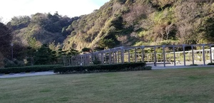 20181123_144734.jpg