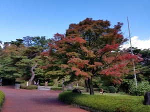 20201024_115054.jpg