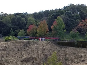 20201024_120601.jpg