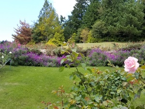 20201024_120950.jpg