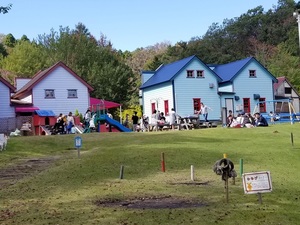 20201024_121312.jpg